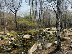 -玉渡山自然风景区