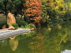 -云溪植物园
