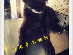 -Onirii Coffee(长乐路店)