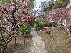 -荣国府