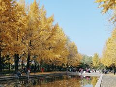 -玲珑塔公园