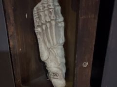 -逃脱反斗城沉浸剧情密室(阳光新业中心店)