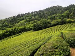 -敬亭山风景名胜区