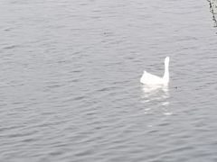 -天津东丽湖风景区