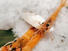 -極上萬膳·日料放题(来福士江景店)