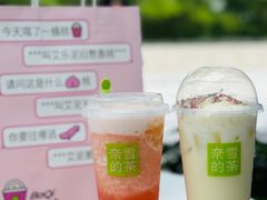 -奈雪的茶(石厦时代广场店)