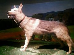 android_upload_pic-上海公安博物馆