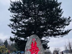 -秦岭终南山世界地质公园翠华山景区
