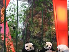 -济州岛泰迪熊博物馆