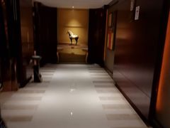 -上海圣淘沙万怡酒店