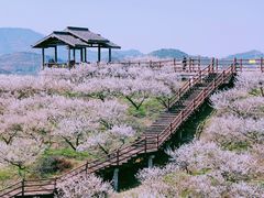-原乡小镇度假乐园