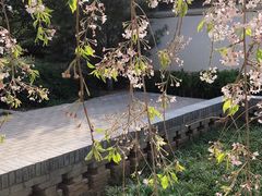 -西安青龙寺遗址景区