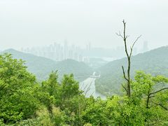 -桃花岭景区