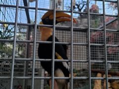 -鄂尔多斯野生动物园