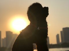 -尚贤河湿地