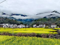 -婺源风景区