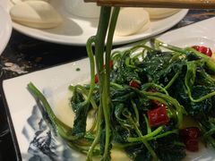 -熊猫家新派川菜(百里一·龙兴集店)