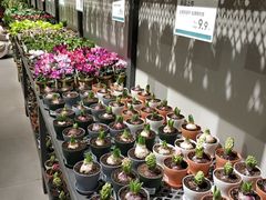 -鹿岛会员店 (龙湖三千集天街店)