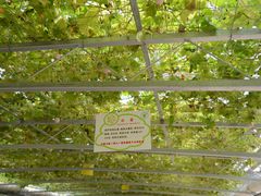 -兰陵国家农业公园