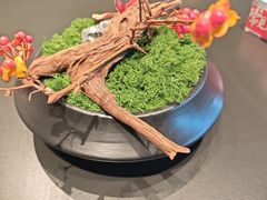 -杨氏青龙虾·羊蝎子(金盛路总店)
