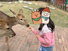 -广东花都香草世界旅游度假区