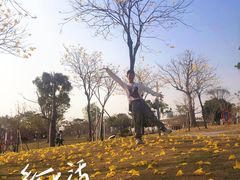 -白石龙音乐公园