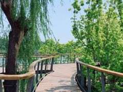 -东郊湿地公园