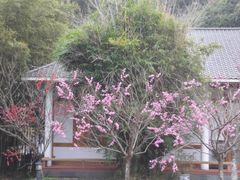 -庐山西海国际温泉度假村