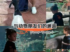 -长鹿旅游休博园