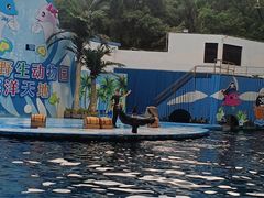 -深圳野生动物园