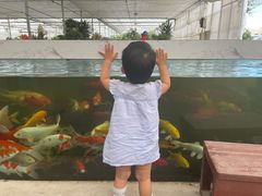 -菊园百果园
