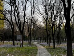 -太阳宫公园