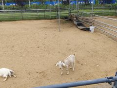 -秦皇岛野生动物园