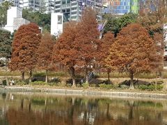 -大埔公路-马料水段香港中文大学(公交站)