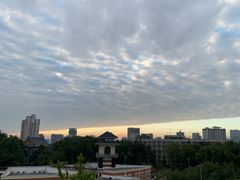-四川大学(望江校区)