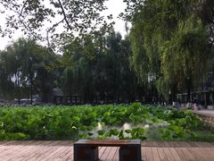 -四川大学(望江校区)