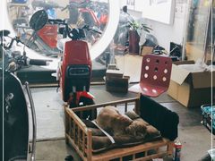 -雅迪电动车(北艾路店)