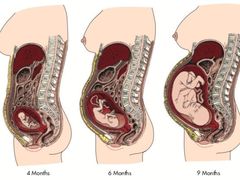 -深蓝盲人推拿·颈肩腰腿疼痛·艾灸调理(清河店)
