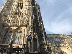 -斯蒂芬主教座堂(Stephansdom)