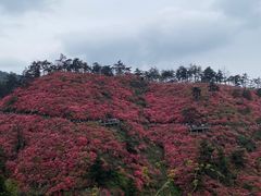 -木兰云雾山