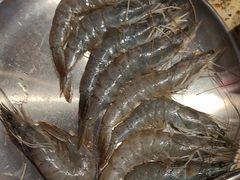-姜胖胖无限自助烤肉(罗湖宝能店)