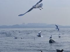 -深圳湾公园(南山区)