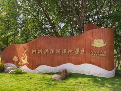 -泗洪洪泽湖湿地景区