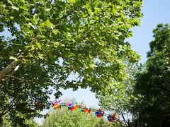 -石家庄市动物园