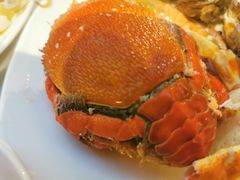 -太湖饭店玉兰厅(自助餐厅)