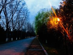 -太阳岛度假酒店