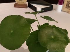 -粤财皇冠假日酒店·彩华轩中餐厅