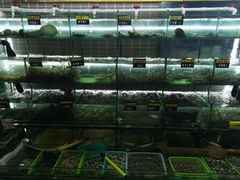 -覃记海鲜美食餐厅