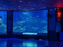 -海合安武汉极地海洋公园