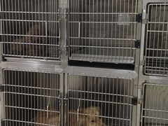 -佳雯宠物医院(四明中路分院)